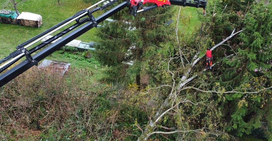 Kranarm neben einem Baum, in dessen Krone ein Kletterer arbeitet, von oben aufgenommen