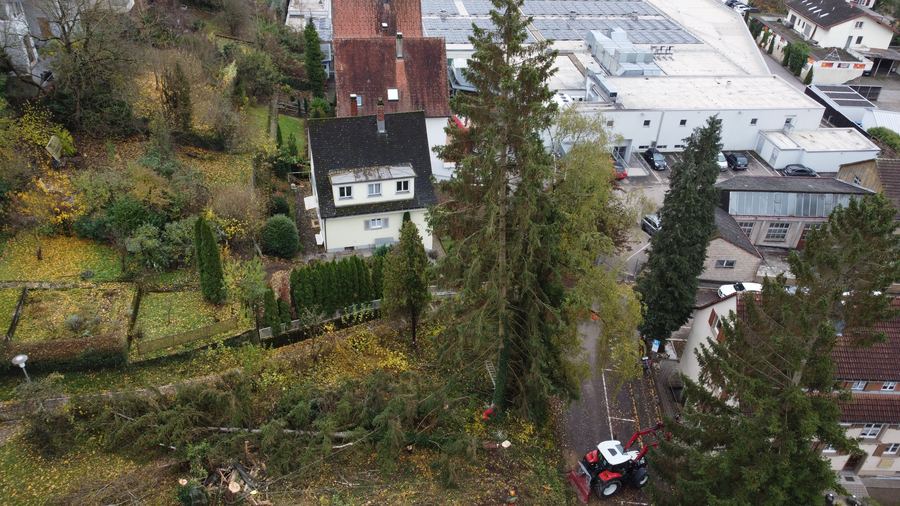 Gefällte Bäume an einem Hang zwischen Wohnhäusern, daneben eine hohe Fichte und ein Raupenfahrzeug an der Zufahrt, von oben aufgenommen