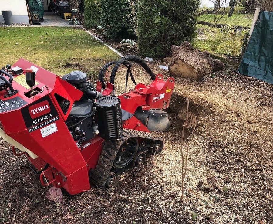 Stubbenfräse auf Raupen neben einem Baumstumpf im Garten