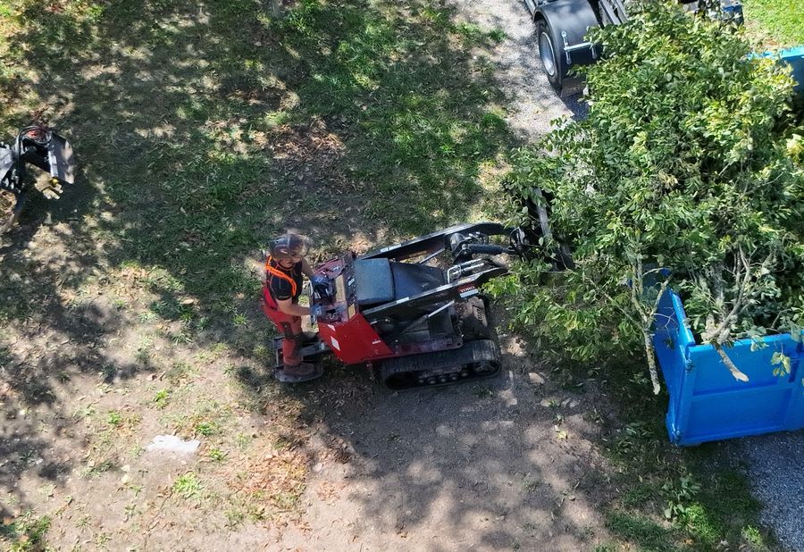Raupenlader neben einem Container mit Schnittgut, von oben aufgenommen